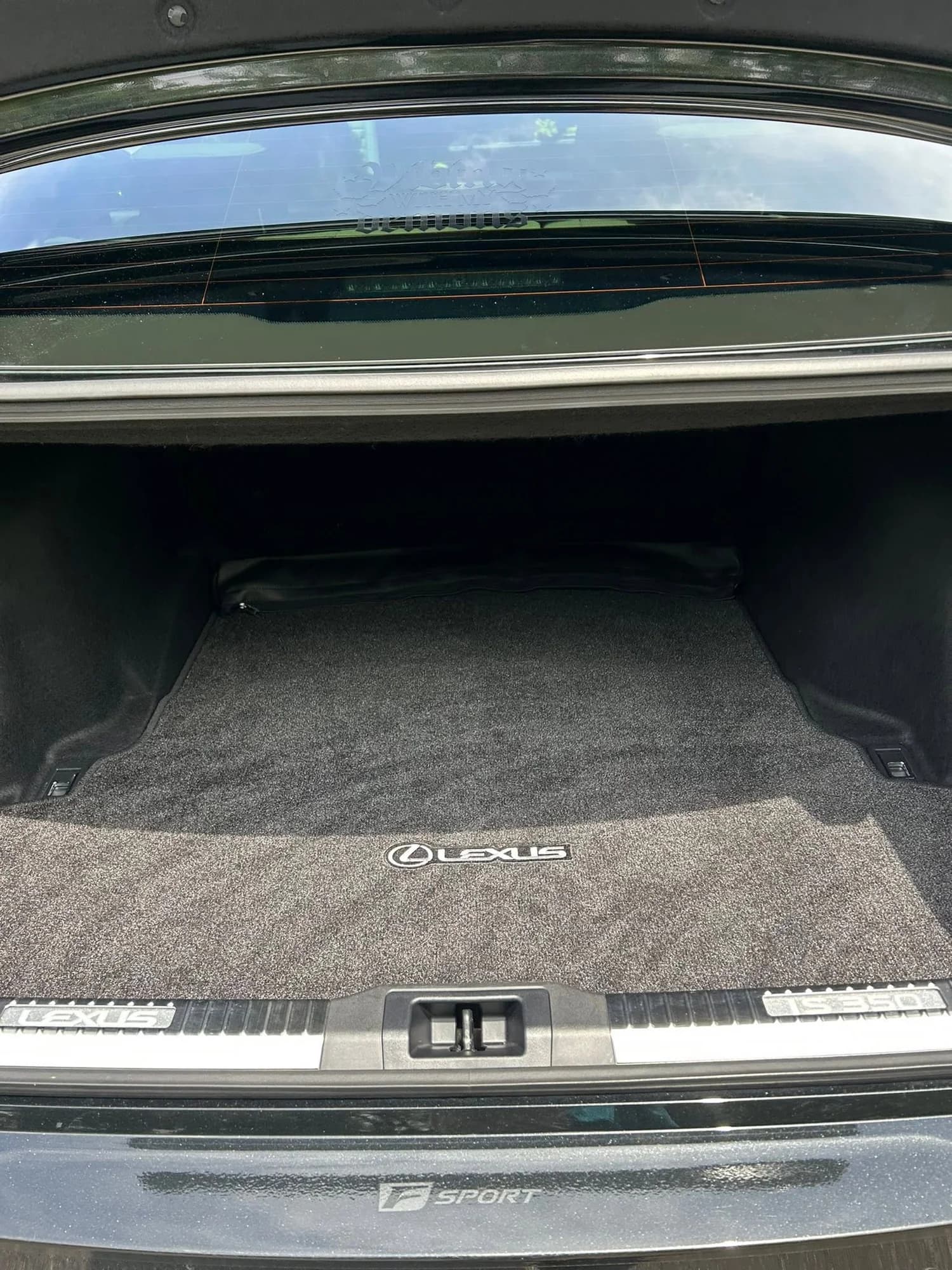 Lexus trunk carpet and cargo area