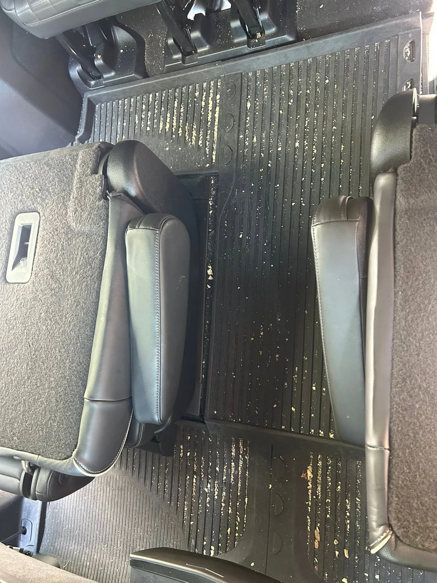 Cadillac Escalade floor mat with debris before detailing